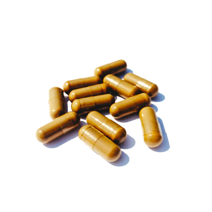 NatureMedic® Fucoidan Powered with AHCC® Capsule Type (160 capsules)